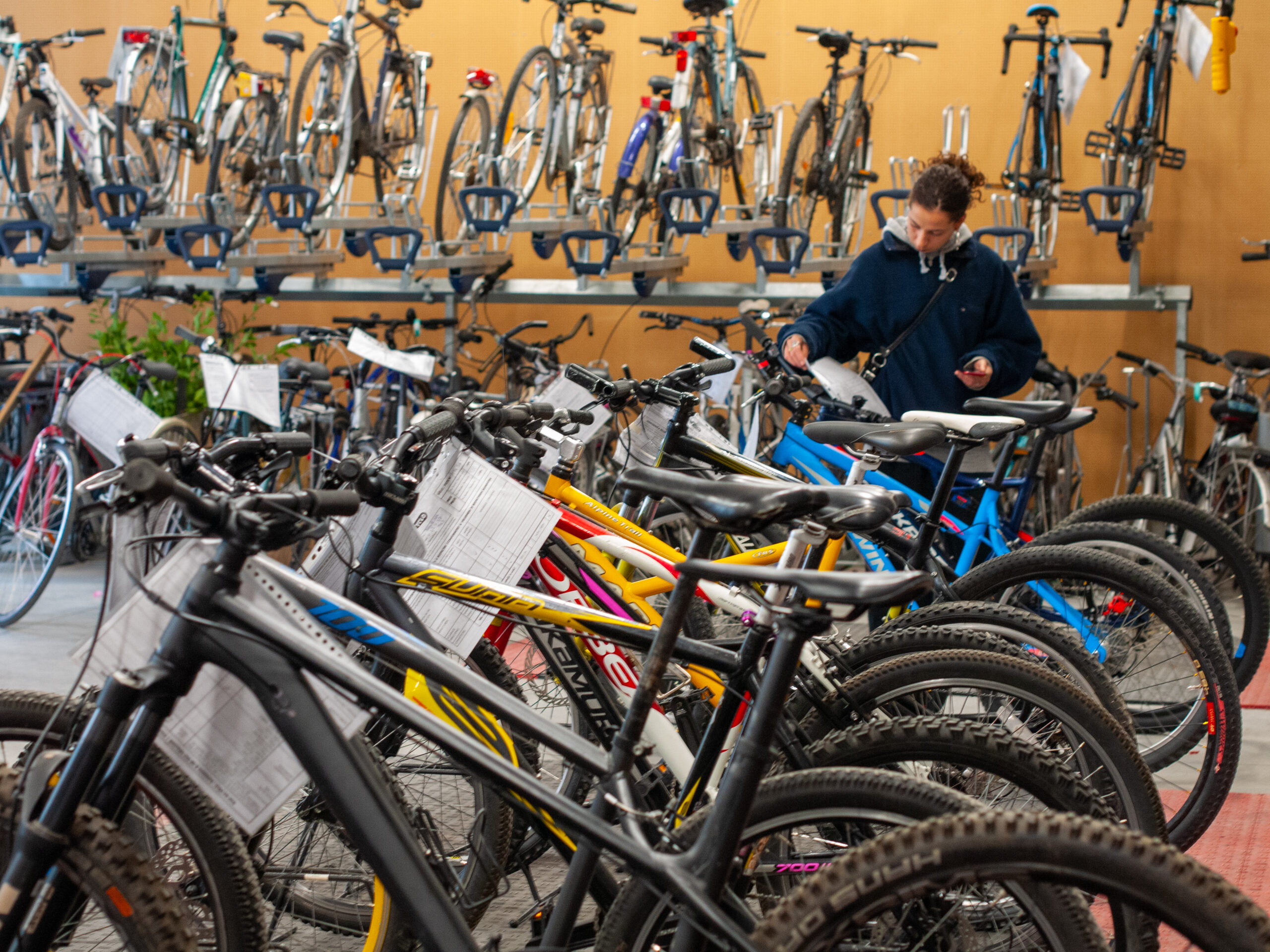 Personne qui regarde les vélos en vente